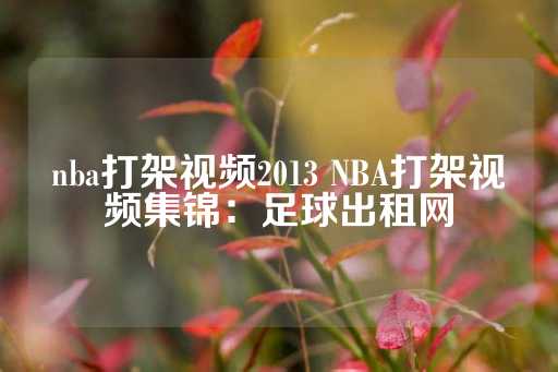 nba打架视频2013 NBA打架视频集锦：足球出租网