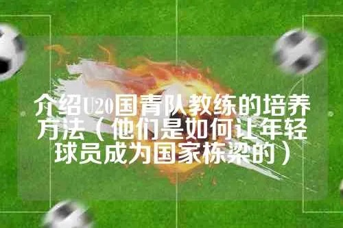 介绍U20国家队主教练的培养方法（如何打造出一支优秀的年轻球队）-第2张图片-www.211178.com_果博福布斯